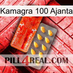 Kamagra 100 Ajanta new01